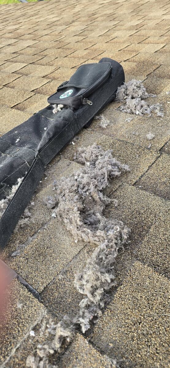 Lint removed from a roof dryer vent exit
